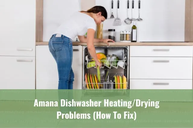 Woman putting plates on the dishwasher