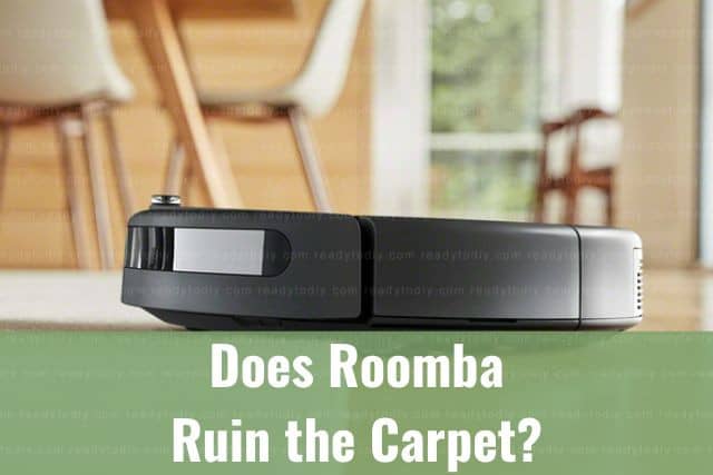 Roomba cleaning carpet
