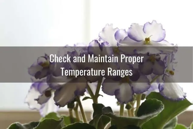 Check and Maintain Proper Temperature Ranges