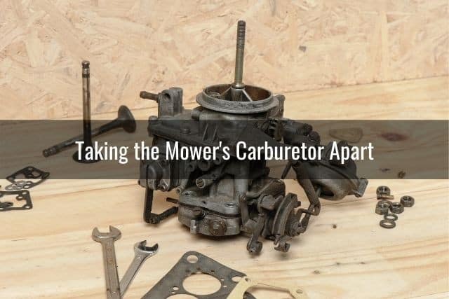 Taking the Mower's Carburetor Apart