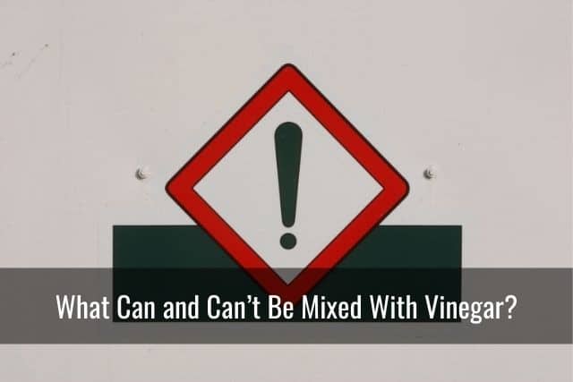 What Can and Can’t Be Mixed With Vinegar?