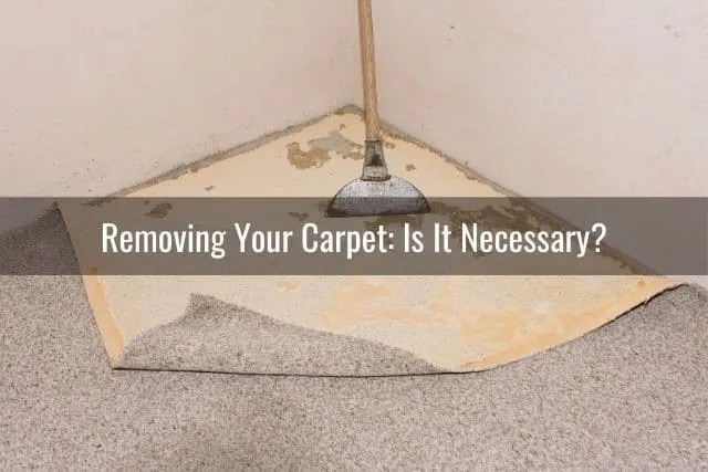 Carpet removal tool