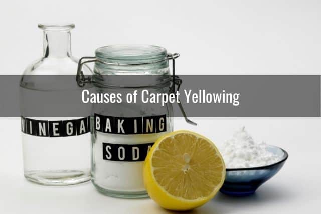 Causes of Carpet Yellowing