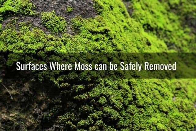 Surfaces Where Moss can be Safely Removed 