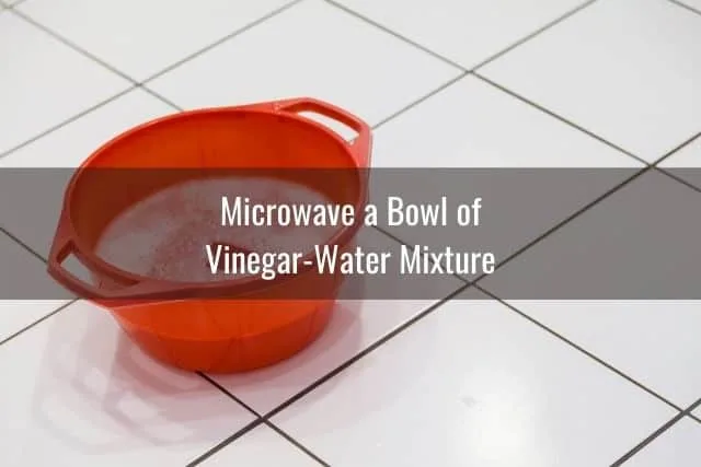 Microwave a Bowl of Vinegar-Water Mixture