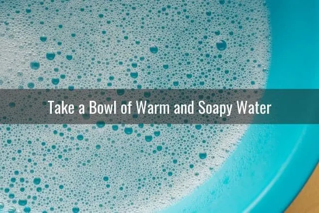 Take a Bowl of Warm and Soapy Water