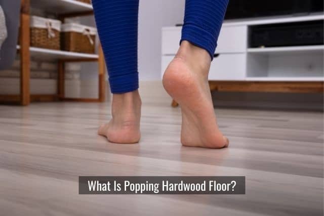 How To Fix Popping Hardwood Floors, Hardwood Floor Popping Repair