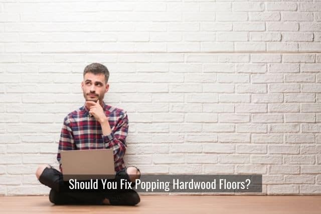 Should You Fix Popping Hardwood Floors?