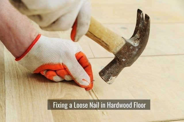 Fixing a Loose Nail in Hardwood Floors