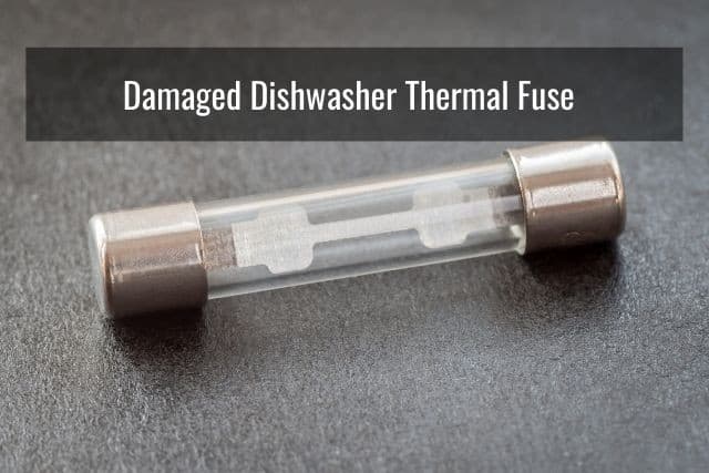 Damaged Dishwasher Thermal Fuse