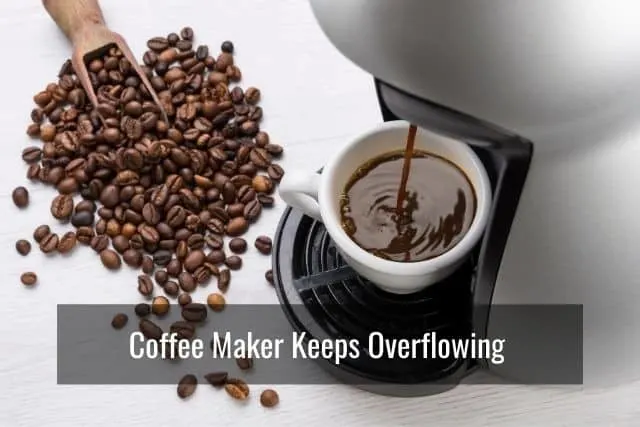 Coffee Maker Keeps Overflowing