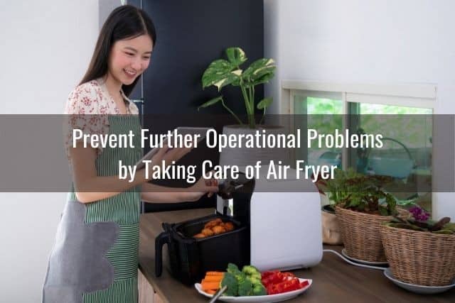 Prevent Further Operational Problems by Taking Care of Air Fryer