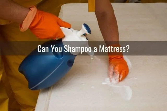 Can You Shampoo a Mattress?