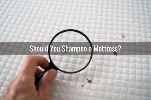 Should You Shampoo a Mattress?