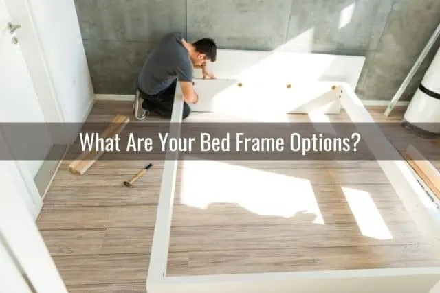What Are Your Bed Frame Options?