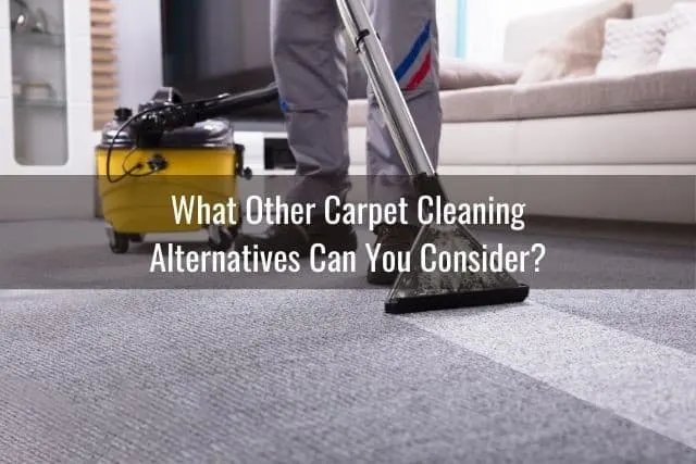 What Other Carpet Cleaning Alternatives Can You Consider?