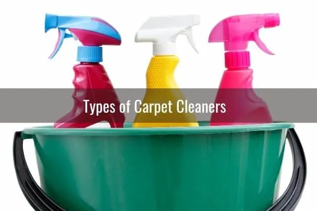 Types of Carpet Cleaners 