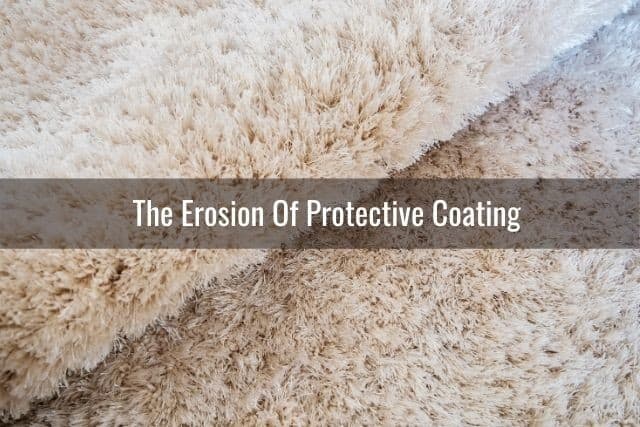 This Is Why Your Carpet Looks Dirty After Cleaning: The Erosion Of Protective Coating