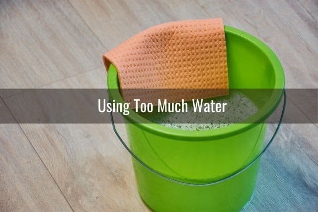 This Is Why Your Carpet Looks Dirty After Cleaning: Using Too Much Water