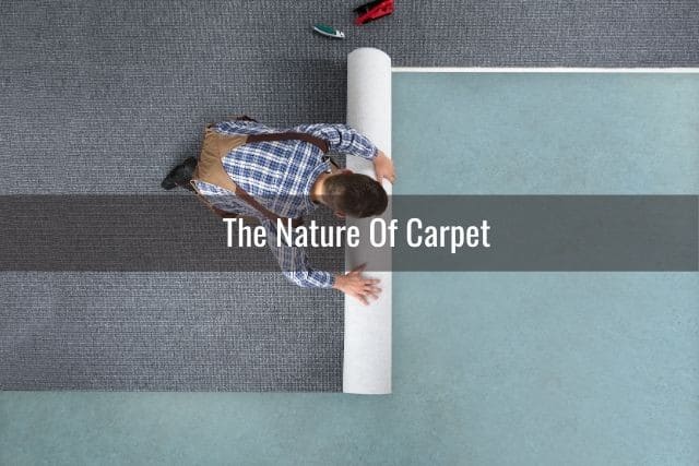 This Is Why Your Carpet Looks Dirty After Cleaning: The Nature Of Carpet