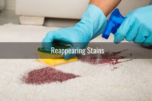 This Is Why Your Carpet Looks Dirty After Cleaning: Reappearing Stains