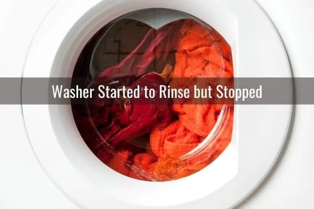 Washer Started to Rinse but Stopped 