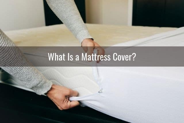 What Is a Mattress Cover?