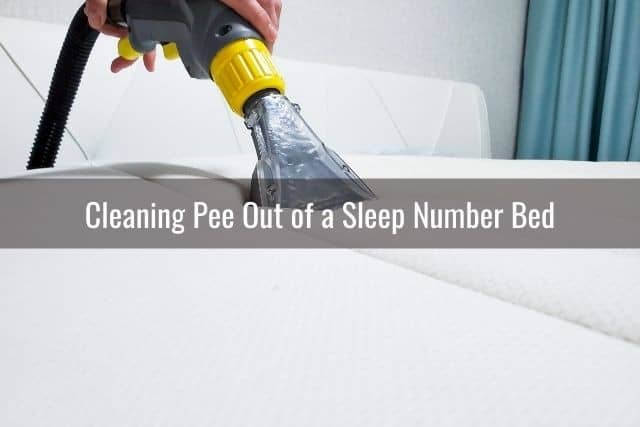 Cleaning Pee Out of a Sleep Number Bed