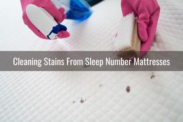 sleep number mattress clean stains mattresses cleaning