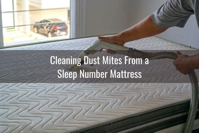 cleaning a sleep number mattress