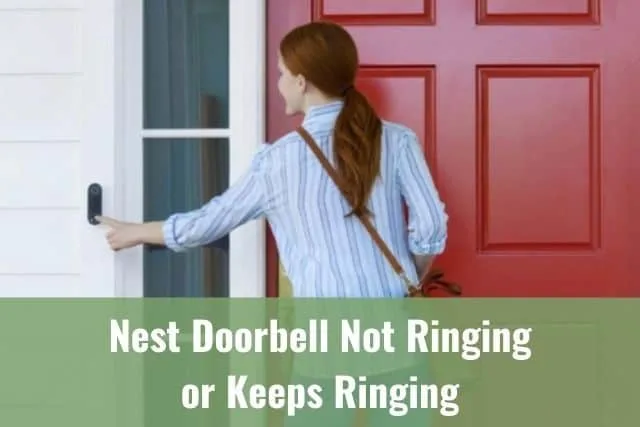 Nest Doorbell Not Ringing or Keeps Ringing