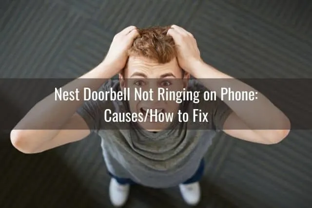 Nest Doorbell Not Ringing on Phone: Causes/How to Fix