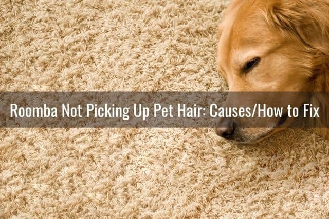 Roomba Not Picking Up Pet Hair: Causes/How to Fix