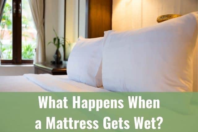What Happens When a Mattress Gets Wet?