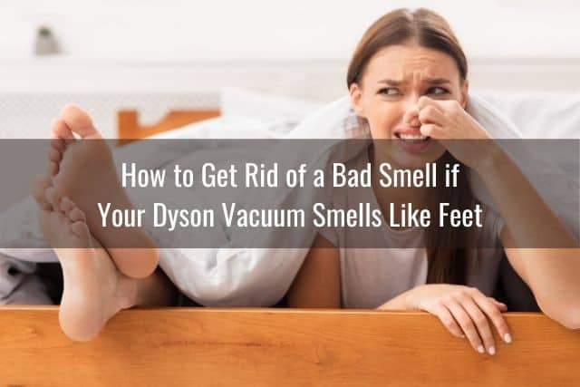 How to Get Rid of a Bad Smell if Your Dyson Vacuum Smells Like Feet
