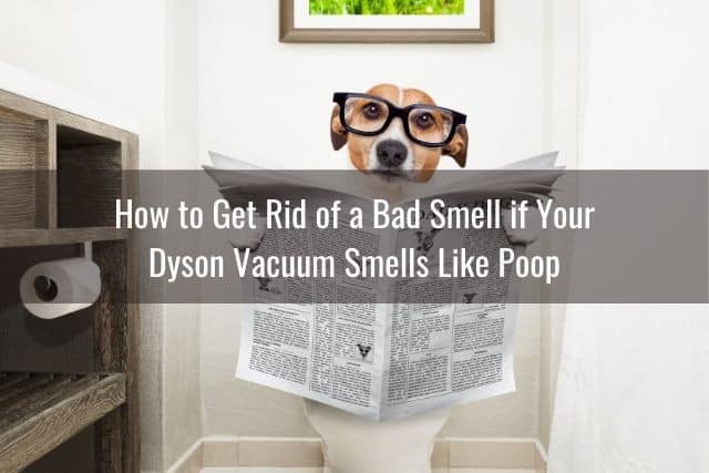 How to Get Rid of a Bad Smell if Your Dyson Vacuum Smells Like Poop