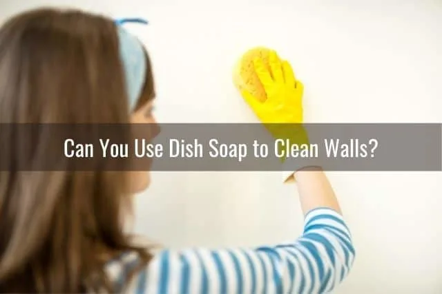 Woman that is cleaning the walls with a sponge