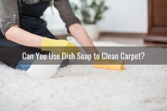 Scrubbing carpet stain with sponge