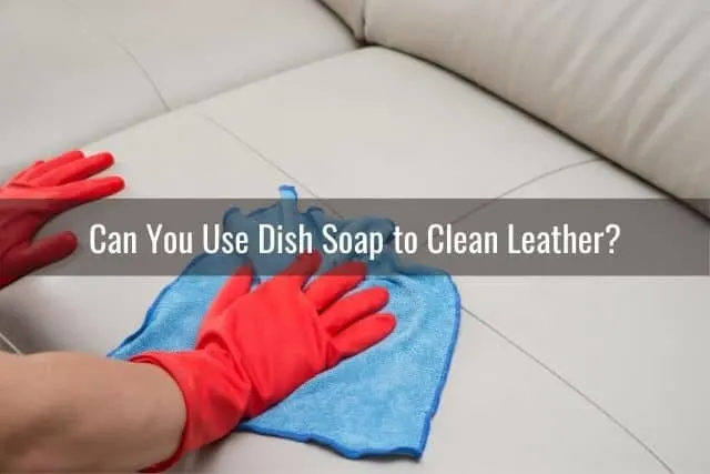 Cleaning a leather sofa