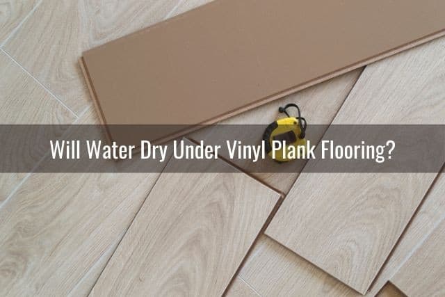 Water Get Through Vinyl Plank Flooring, Water Damage Under Vinyl Floor