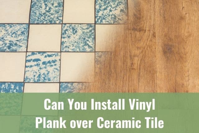 Vinyl floor and ceramic tile