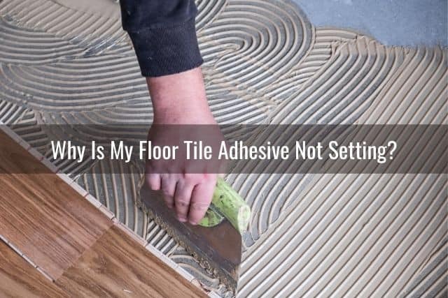 Floor Tile Adhesive Won T Set Dry, How To Adhesive Tile Floor