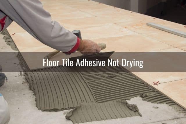 Floor Tile Adhesive Won't Set/Dry - Ready To Diy