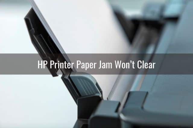 Printer paper feed tray
