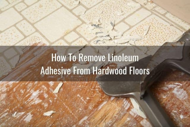 Floor scraper tool removing linoleum flooring exposing hardwood floor