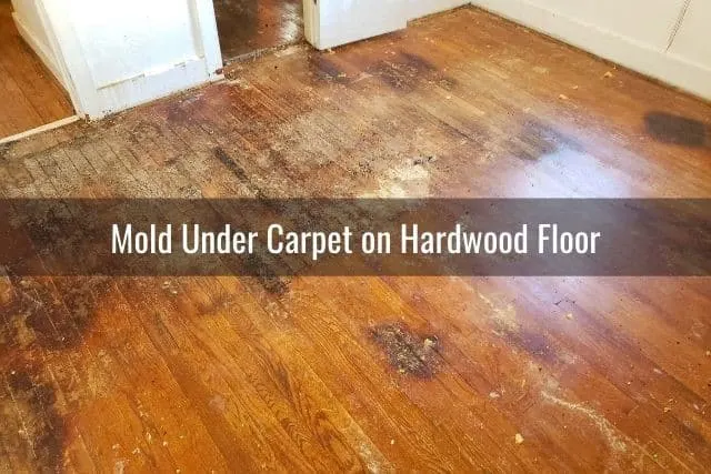 Dirty damaged hardwood floor