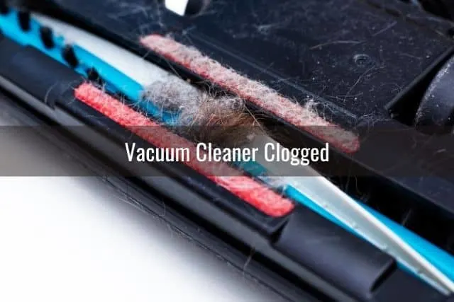 Vacuum brush roller flipped and showing tangled hair