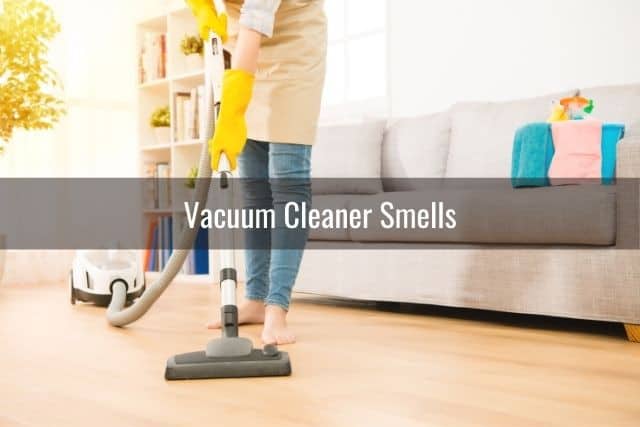 Woman using a canister vacuum cleaning hardwood floor