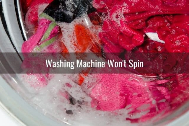 Washing machine glass door spin cycle
