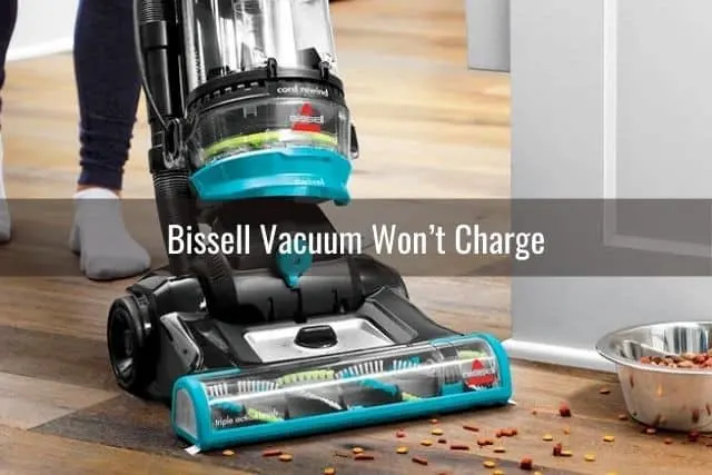 Upright vacuum picking up dog food treats on hardwood floor